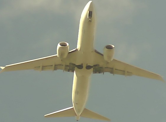 Airplane Picture