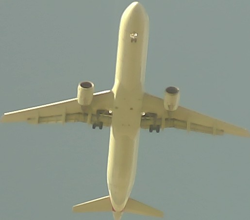 Airplane Picture