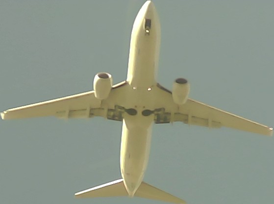 Airplane Picture