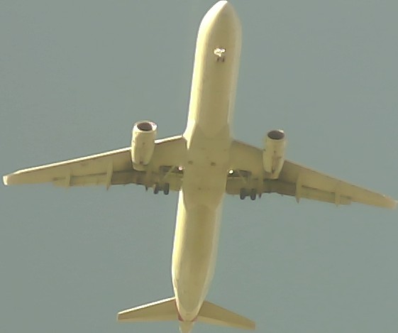 Airplane Picture