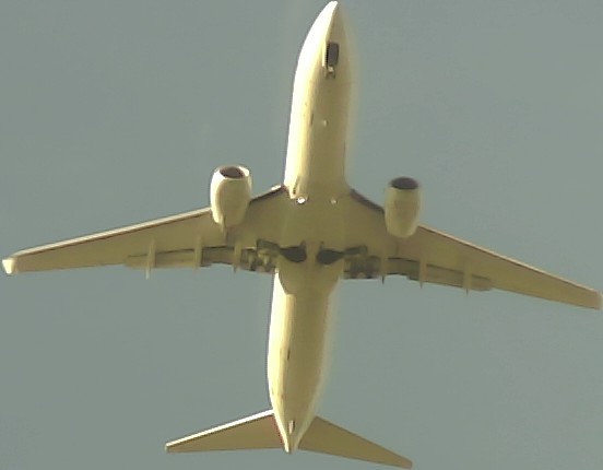 Airplane Picture