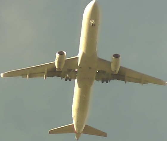 Airplane Picture