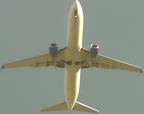 Airplane Picture