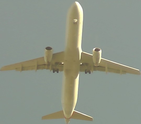 Airplane Picture