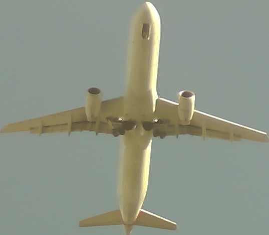 Airplane Picture