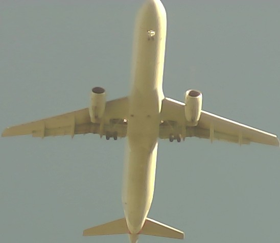 Airplane Picture