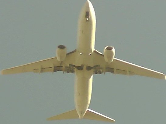 Airplane Picture
