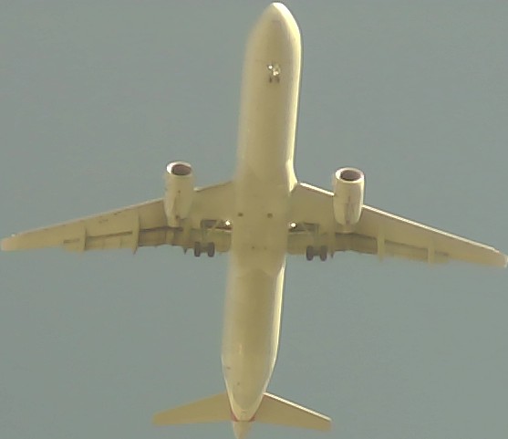 Airplane Picture