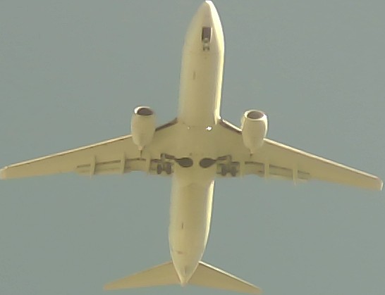 Airplane Picture