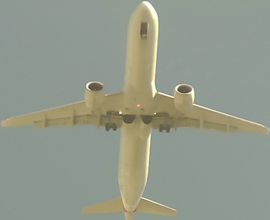 Airplane Picture