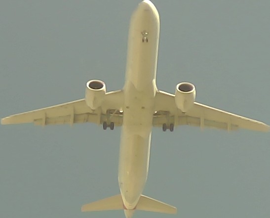 Airplane Picture