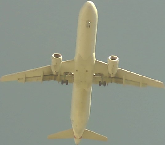 Airplane Picture