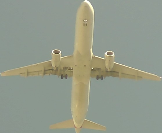 Airplane Picture