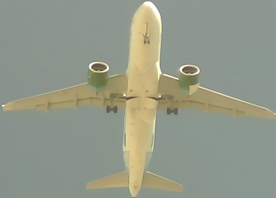 Airplane Picture