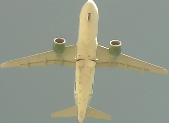 Airplane Picture