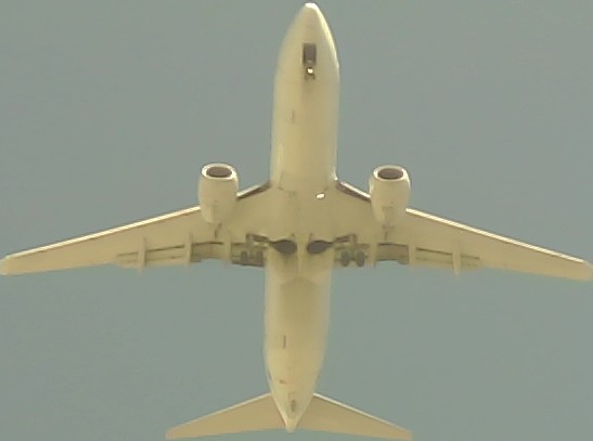 Airplane Picture