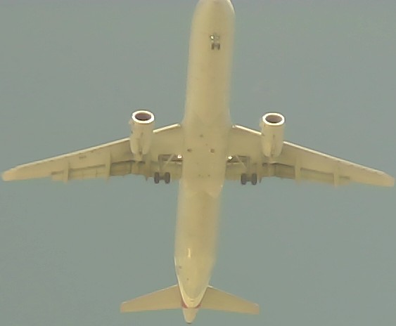 Airplane Picture
