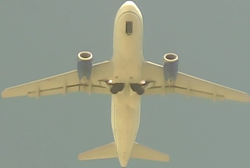 Airplane Picture