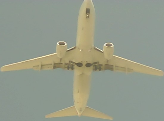 Airplane Picture