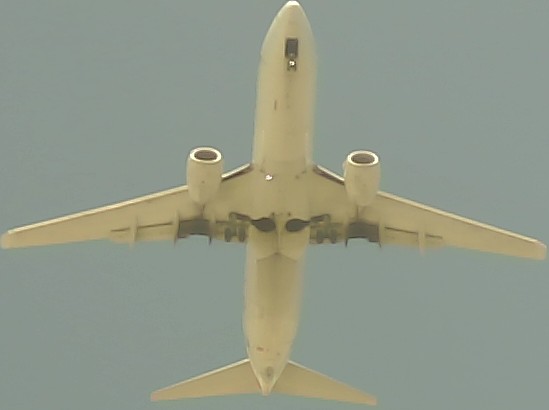 Airplane Picture