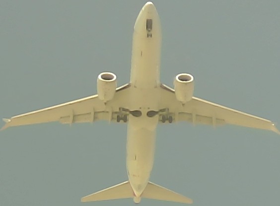 Airplane Picture