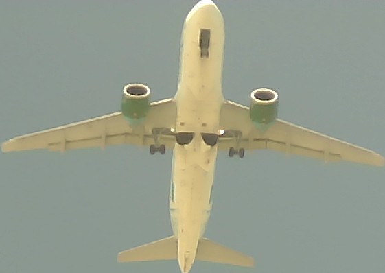 Airplane Picture