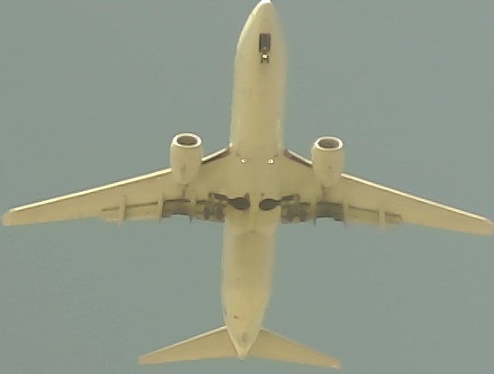 Airplane Picture