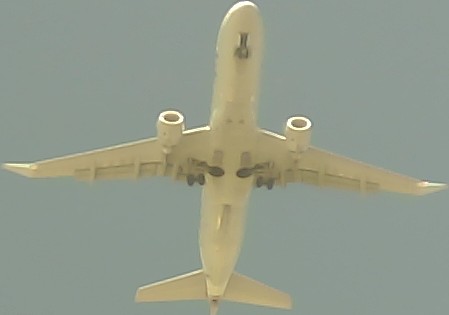 Airplane Picture