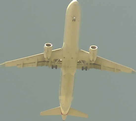Airplane Picture