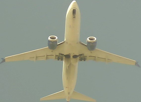 Airplane Picture