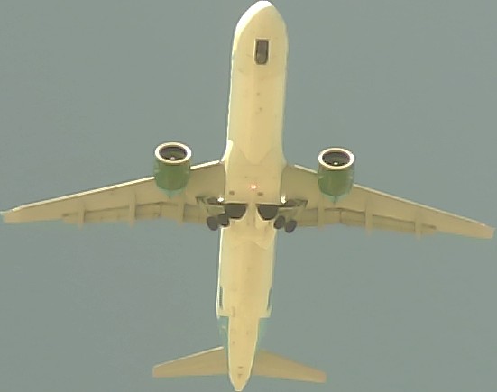 Airplane Picture
