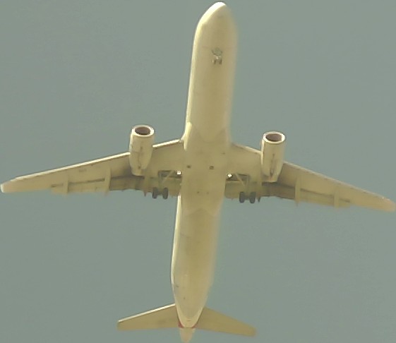 Airplane Picture