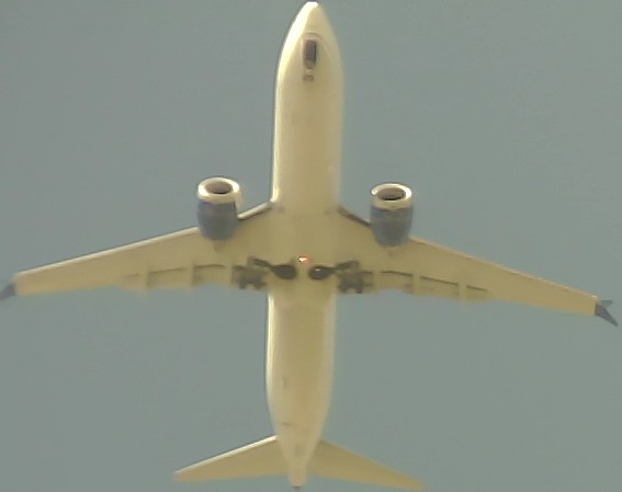 Airplane Picture