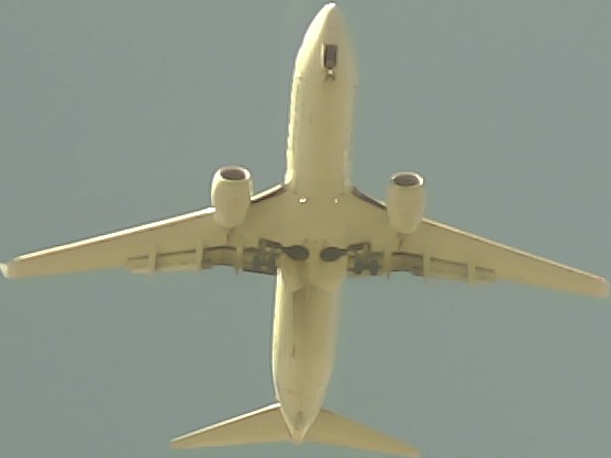 Airplane Picture