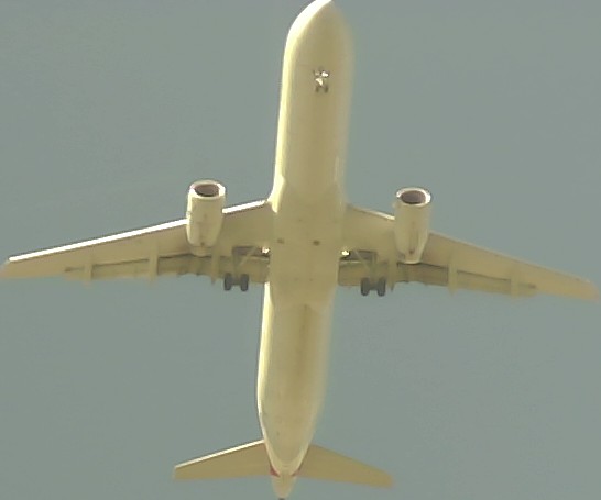 Airplane Picture