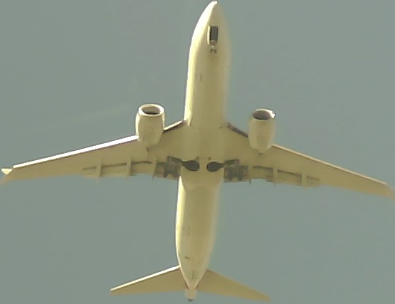 Airplane Picture