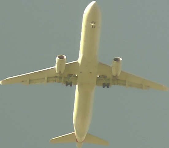 Airplane Picture