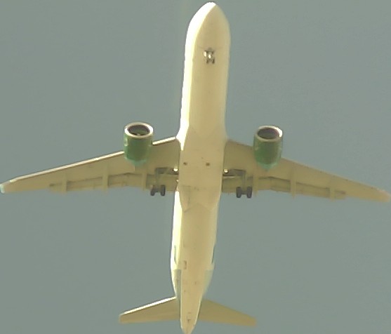 Airplane Picture