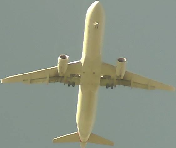 Airplane Picture