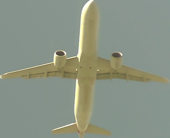 Airplane Picture