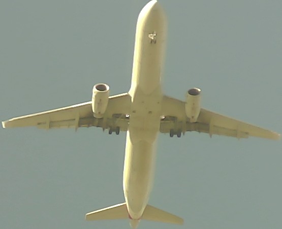 Airplane Picture