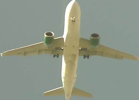 Airplane Picture