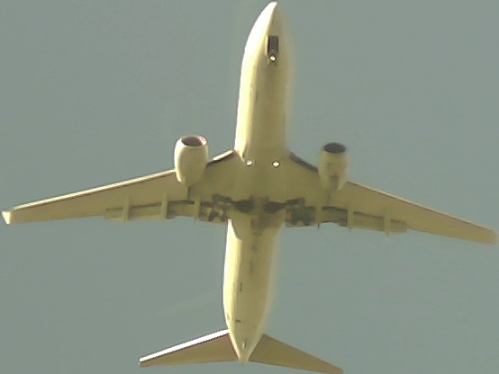Airplane Picture