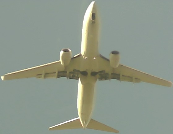 Airplane Picture
