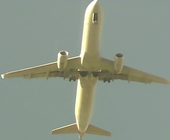 Airplane Picture