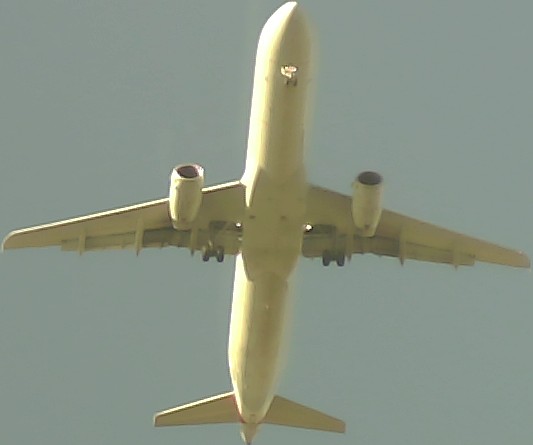 Airplane Picture