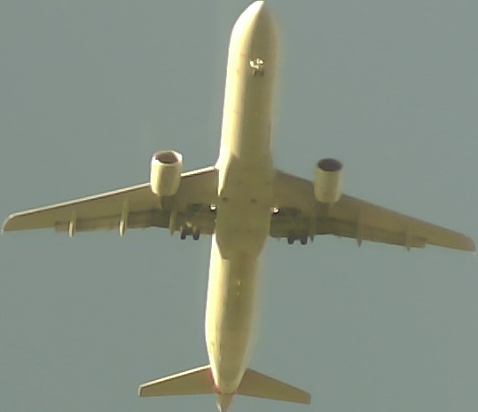 Airplane Picture