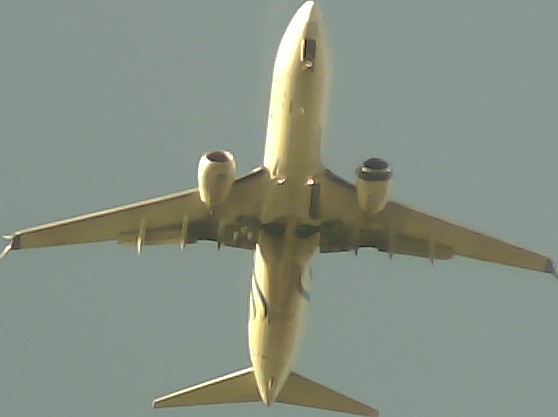 Airplane Picture
