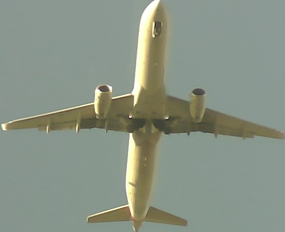 Airplane Picture