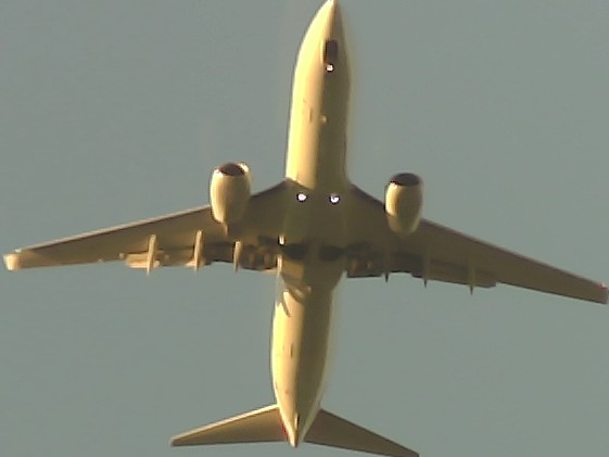 Airplane Picture